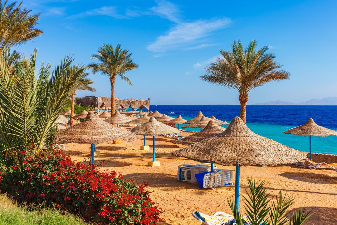 Egypt builds concrete wall to protect resort of Sharm el-Sheikh - News ...