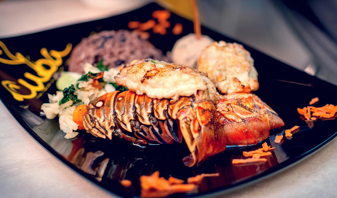 International culinary festival kicks off in Cuba - News | Planet of Hotels