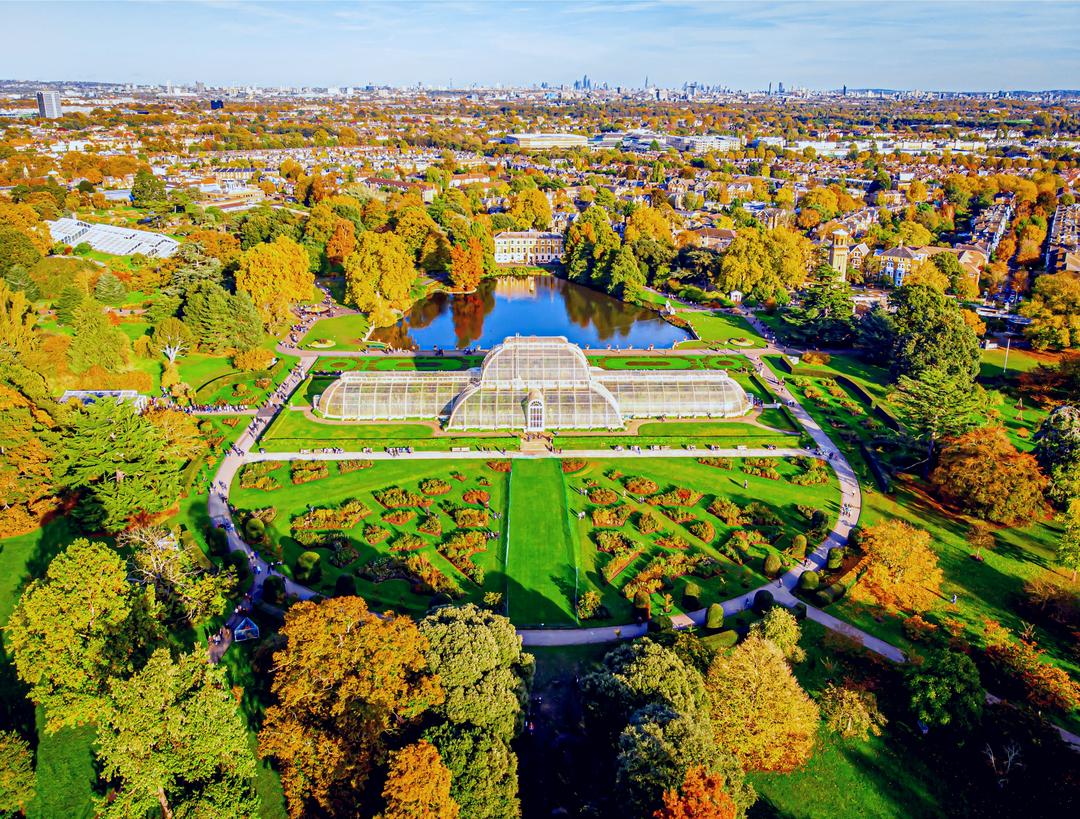 Королевские ботанические сады Кью - описание, фото, режим работы | Planet  of Hotels