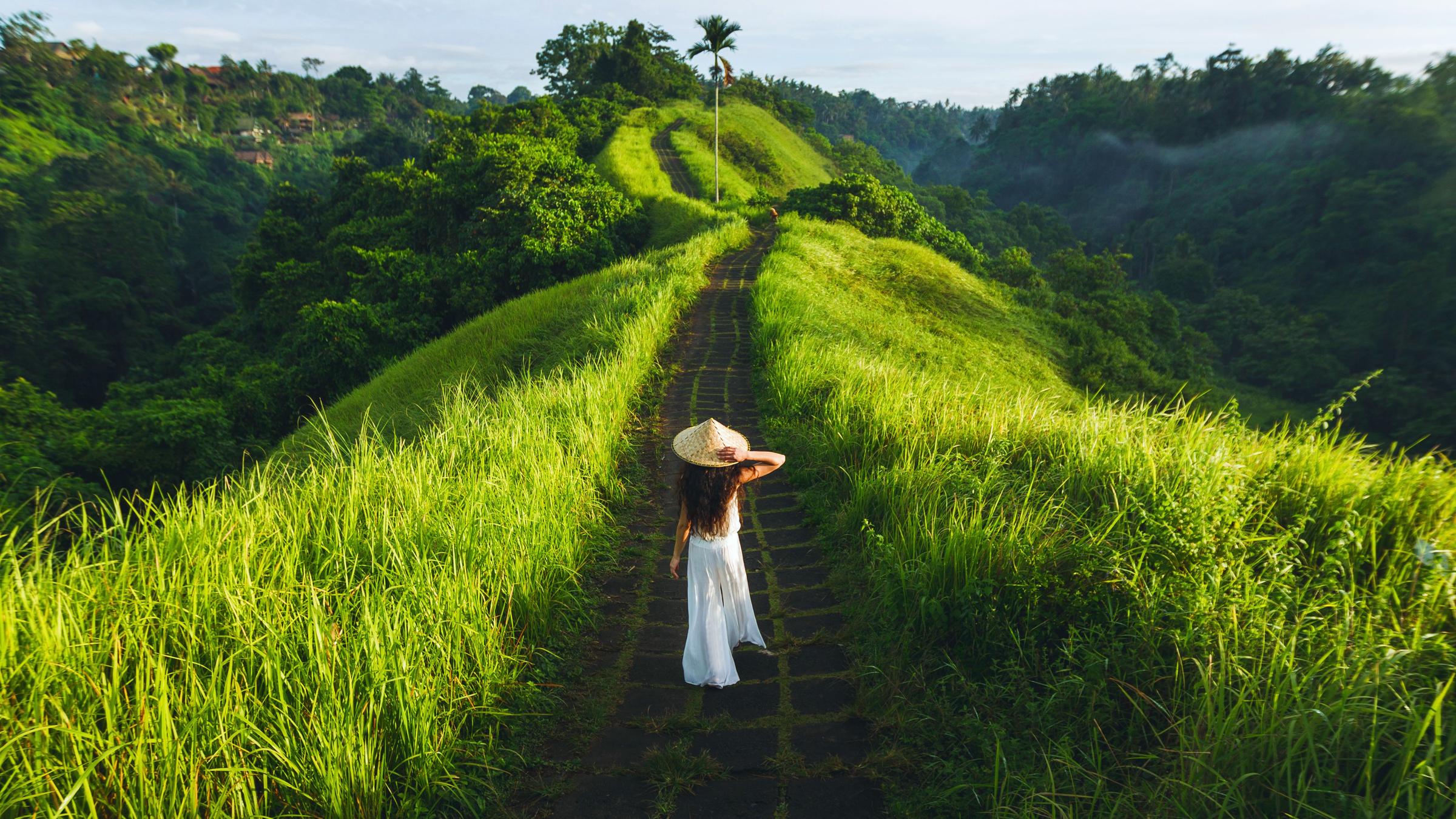 Pemandangan hijau yang memukau dari Campuhan Ridge Walk, jalur trekking populer di Ubud, Bali