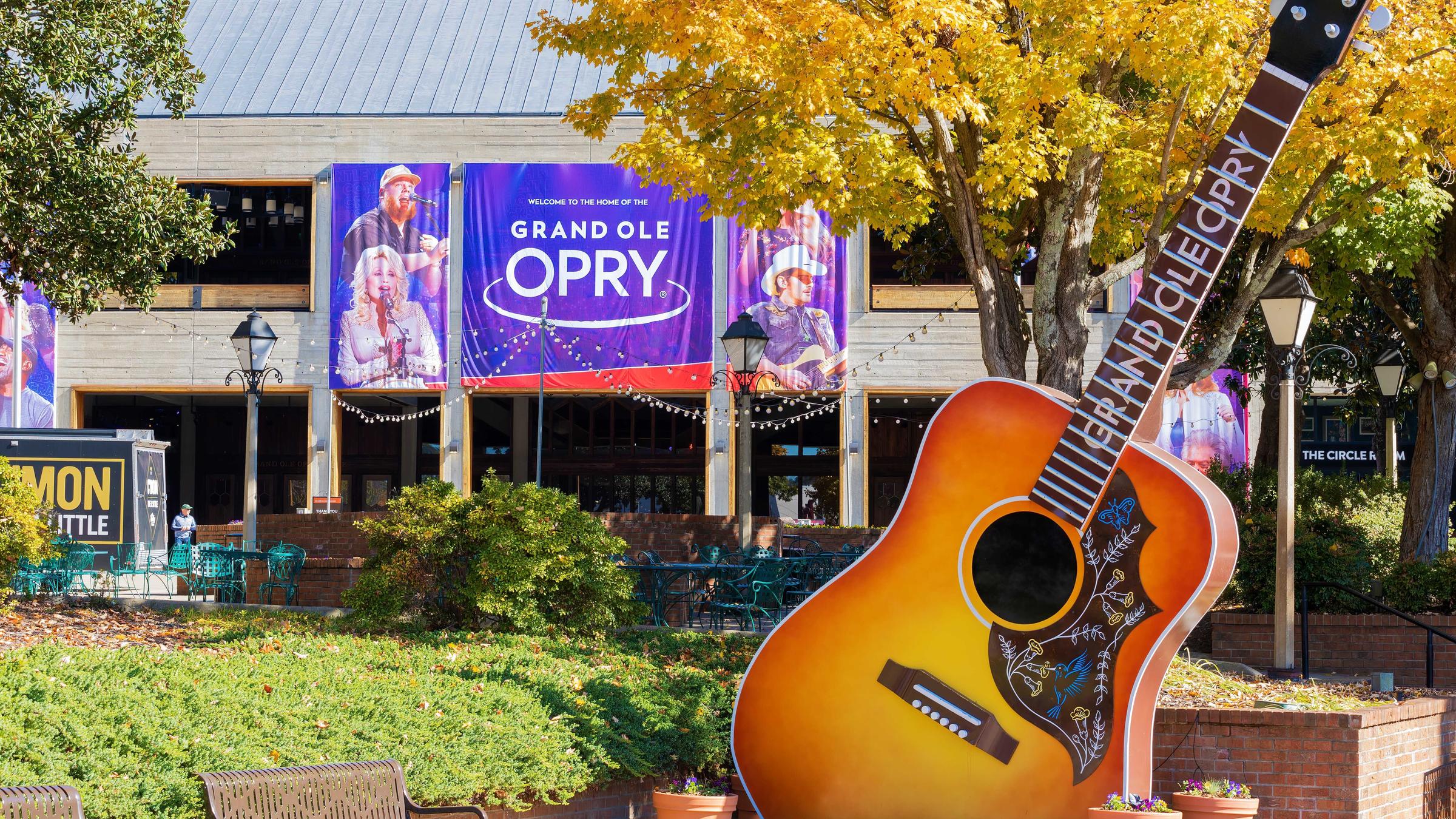Vivid All The Country Star Cameos In 'a Grand Ole Opry Christmas' Capture Photography