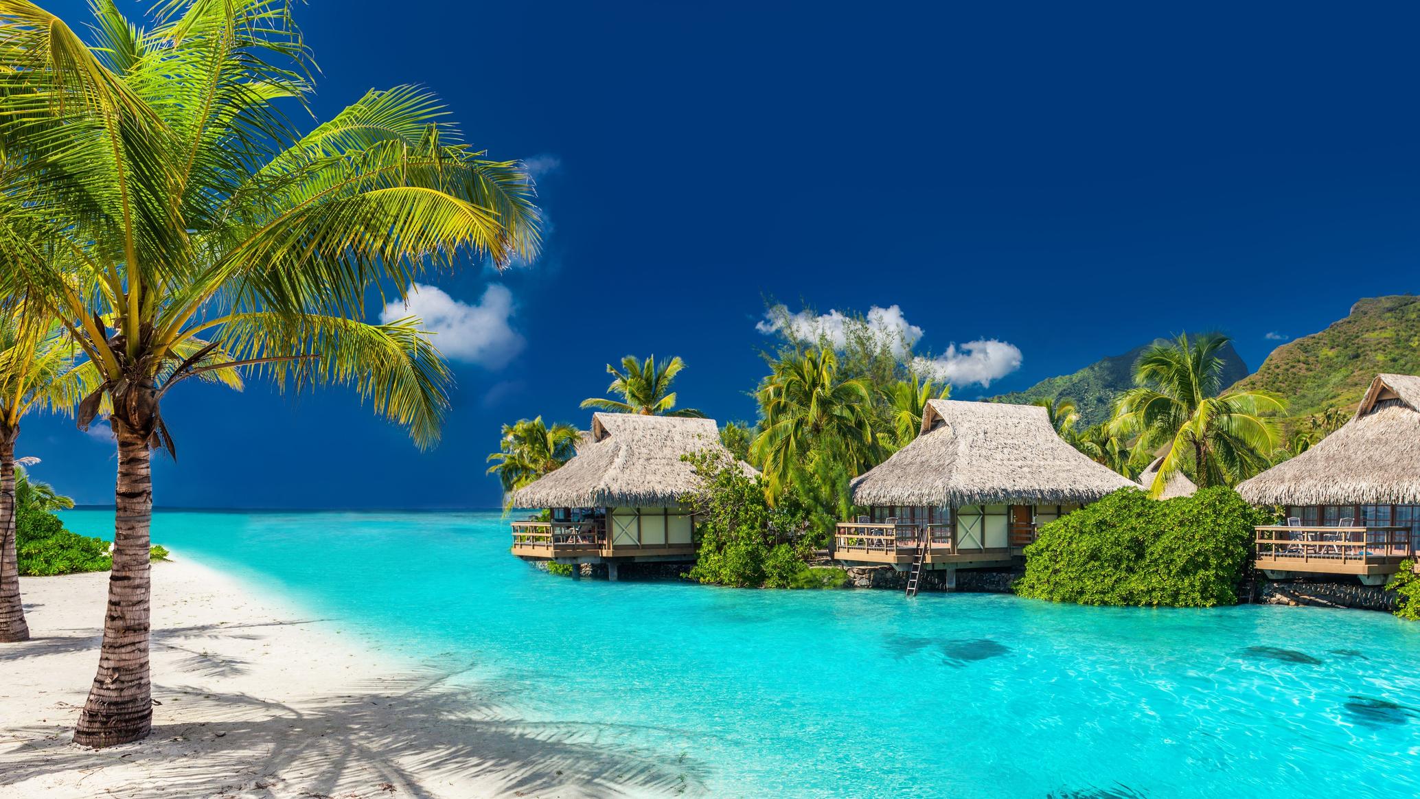 Pacific Harbour - Tourist Guide | Planet of Hotels