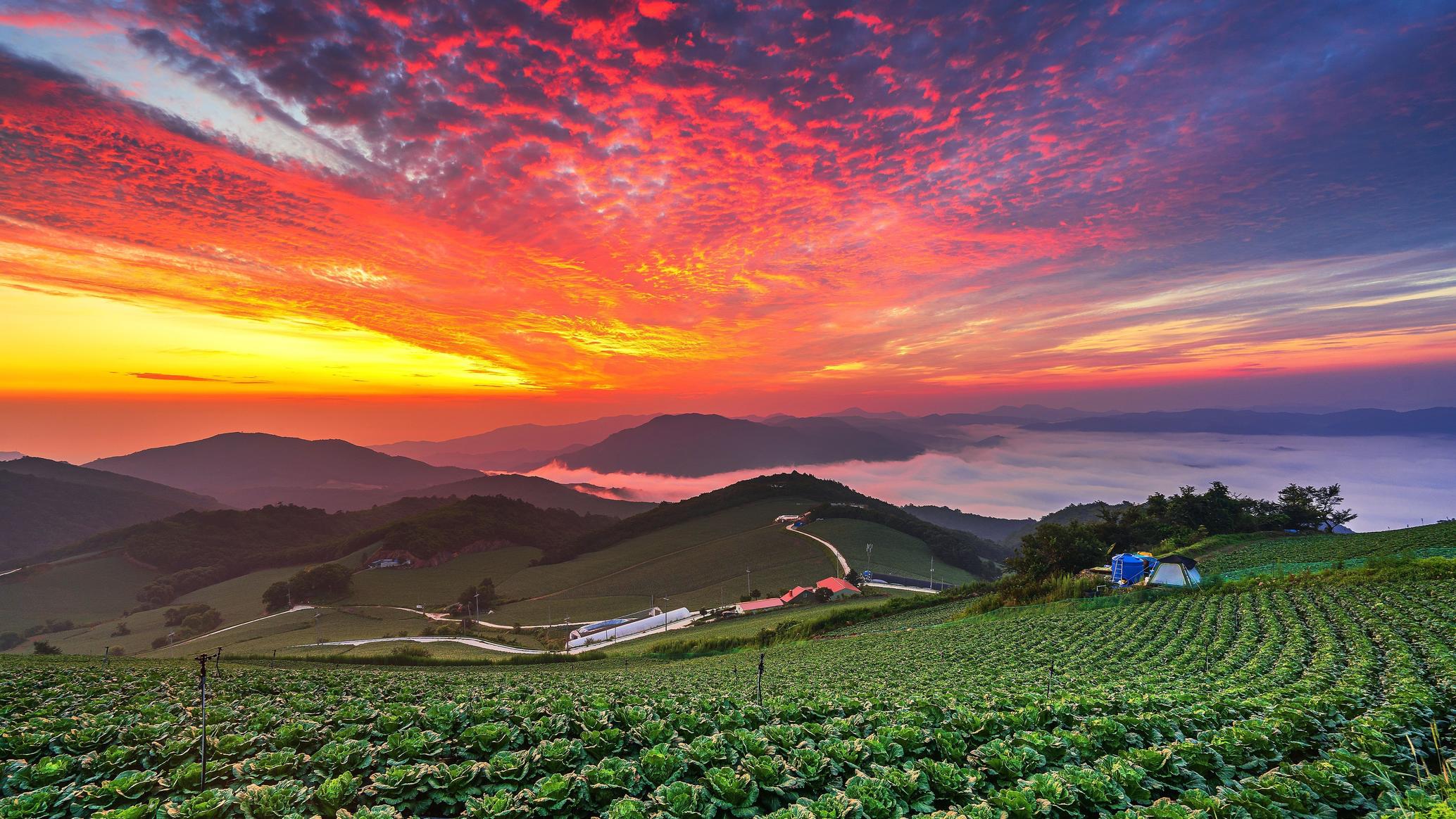 Pyeongchang - City Guide | Planet of Hotels