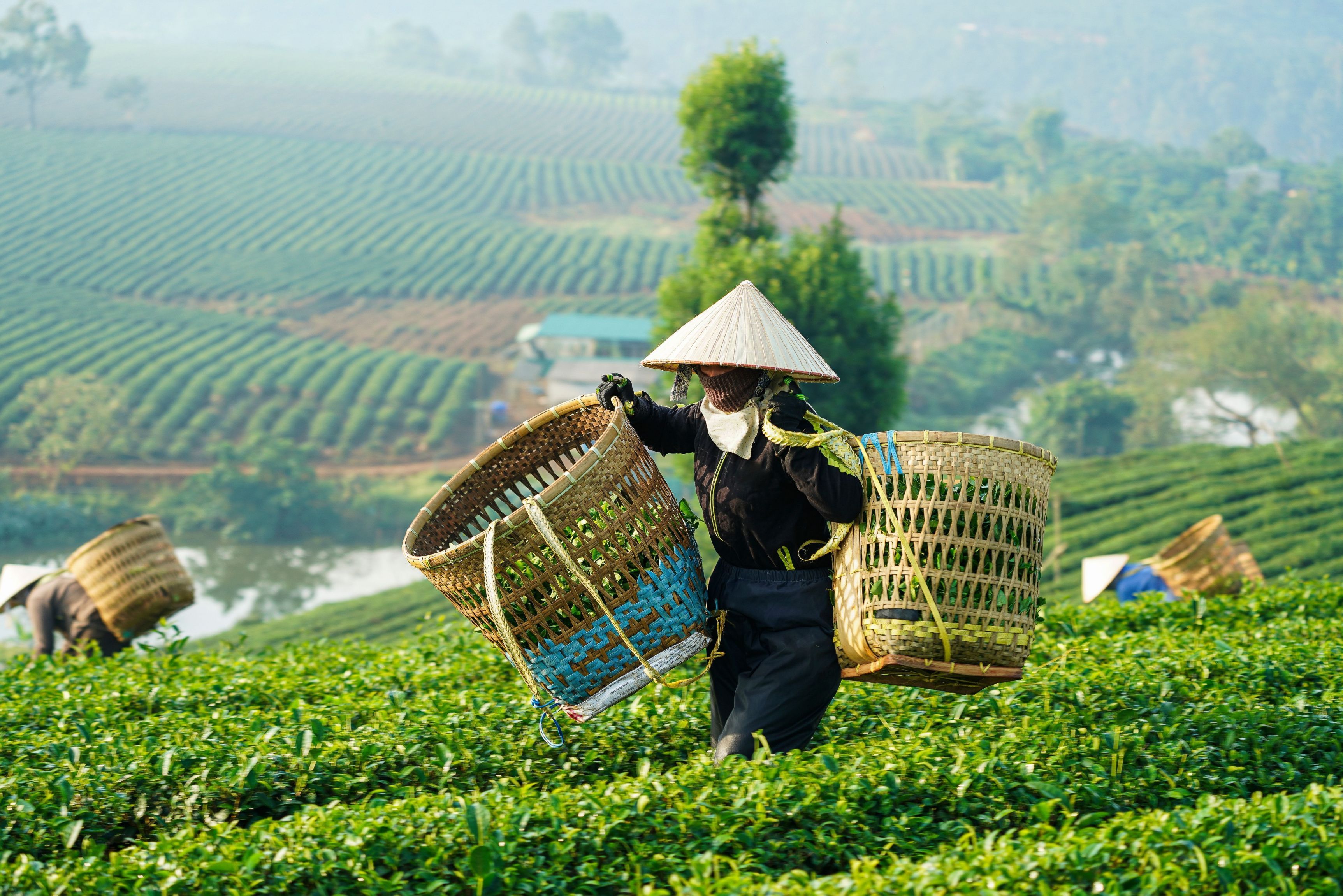 Lo Mejor de Vietnam y Camboya Itinerario 14 días - Lux Travel DMC's BLOG, image size:3450x2302