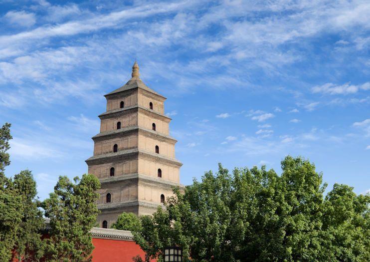 «Король арыстаны» секс мультфильмдері