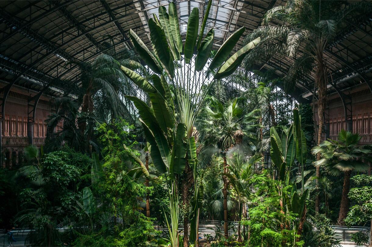 16 Most Beautiful Greenhouse Orangeries in the World | Planet of Hotels, image size:1220x812