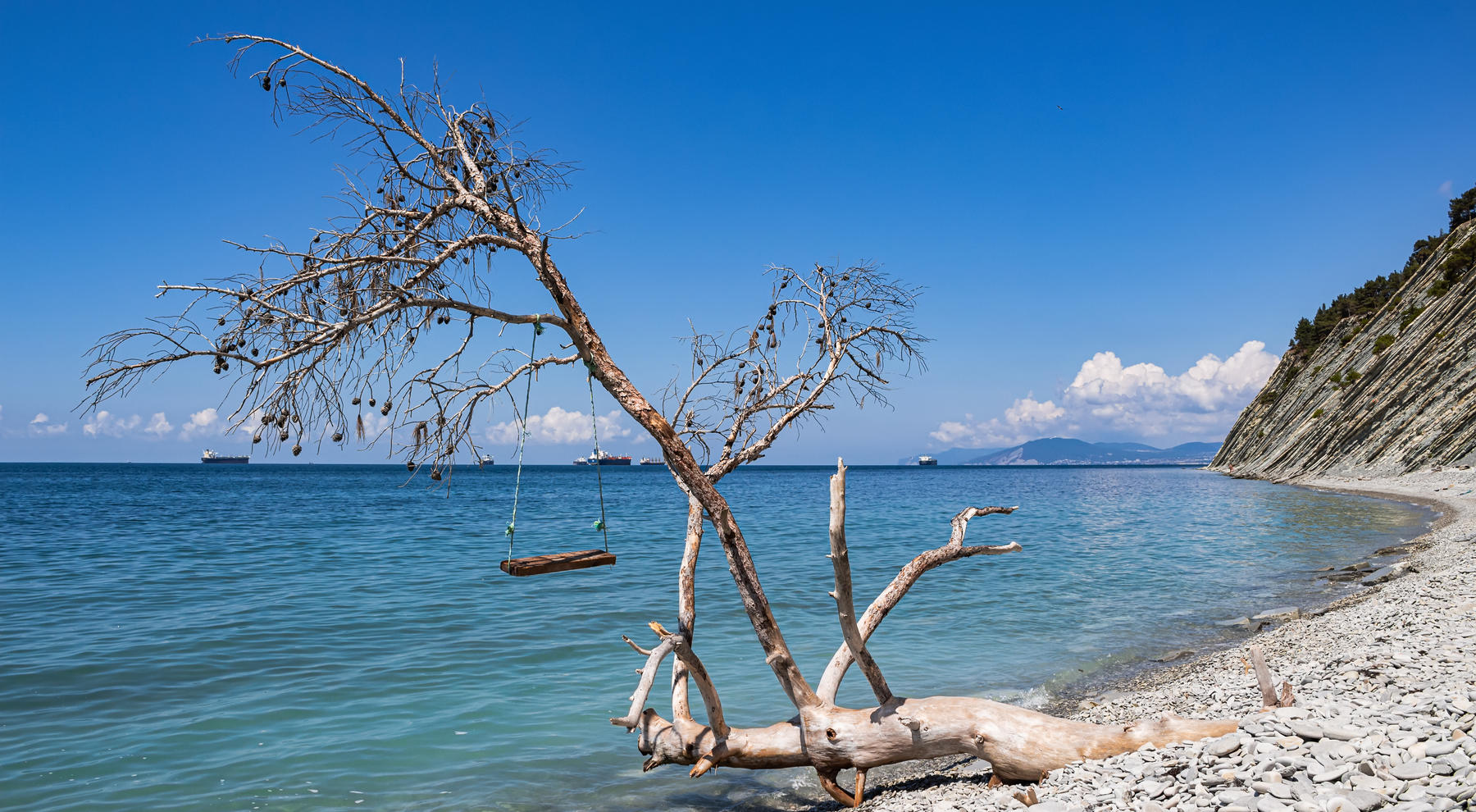 Rus jinsiy aloqa favvora kabi keldi