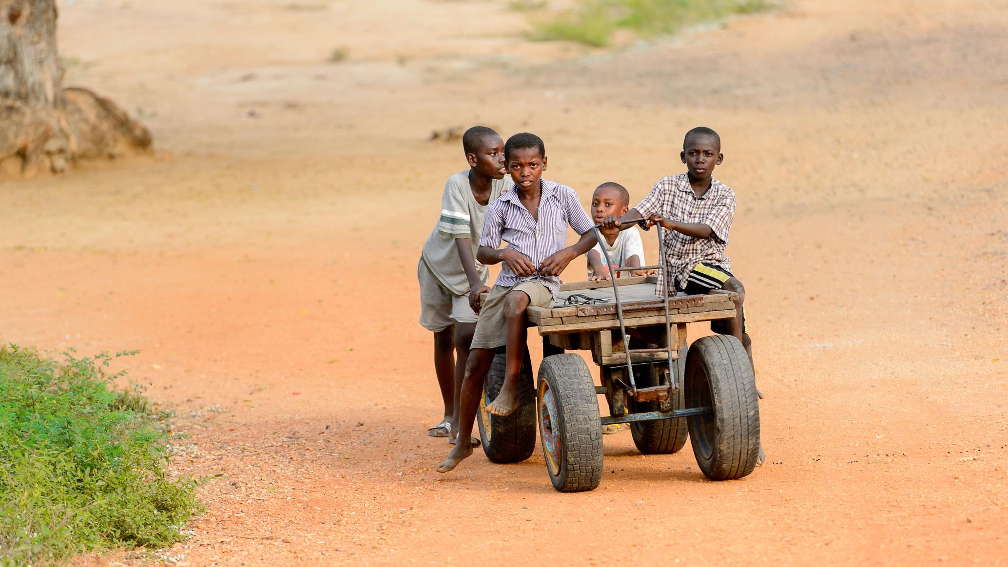 Quién se come al león? – Myrmarachne, image size:2068x1164