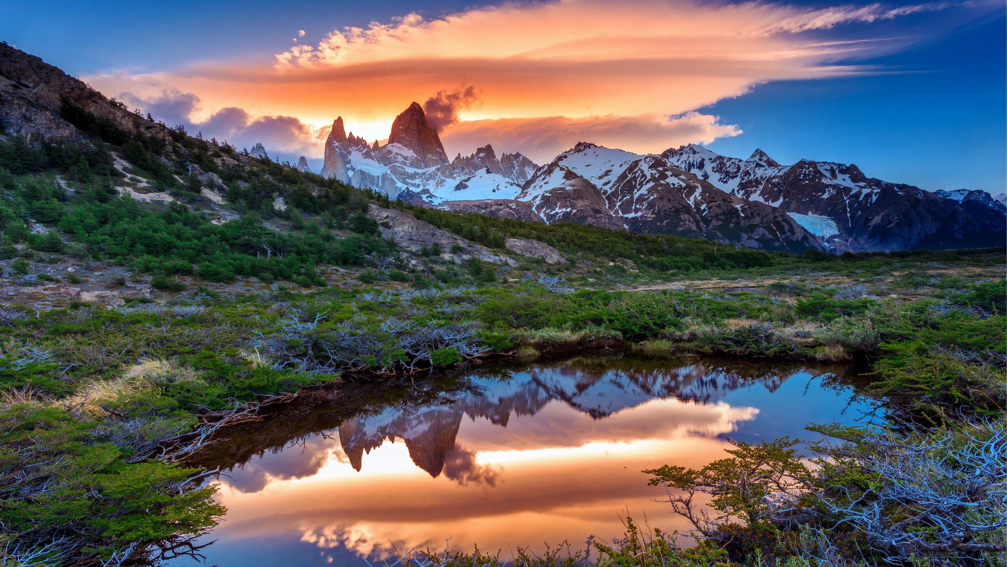 What actions does Patagonia take to protect the environment?
