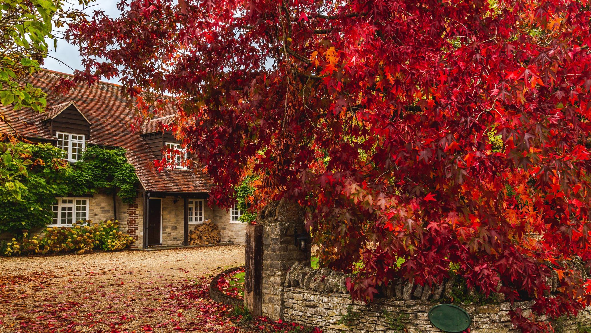 united-kingdom-tourism-information-facts-advices-in-travel-guide