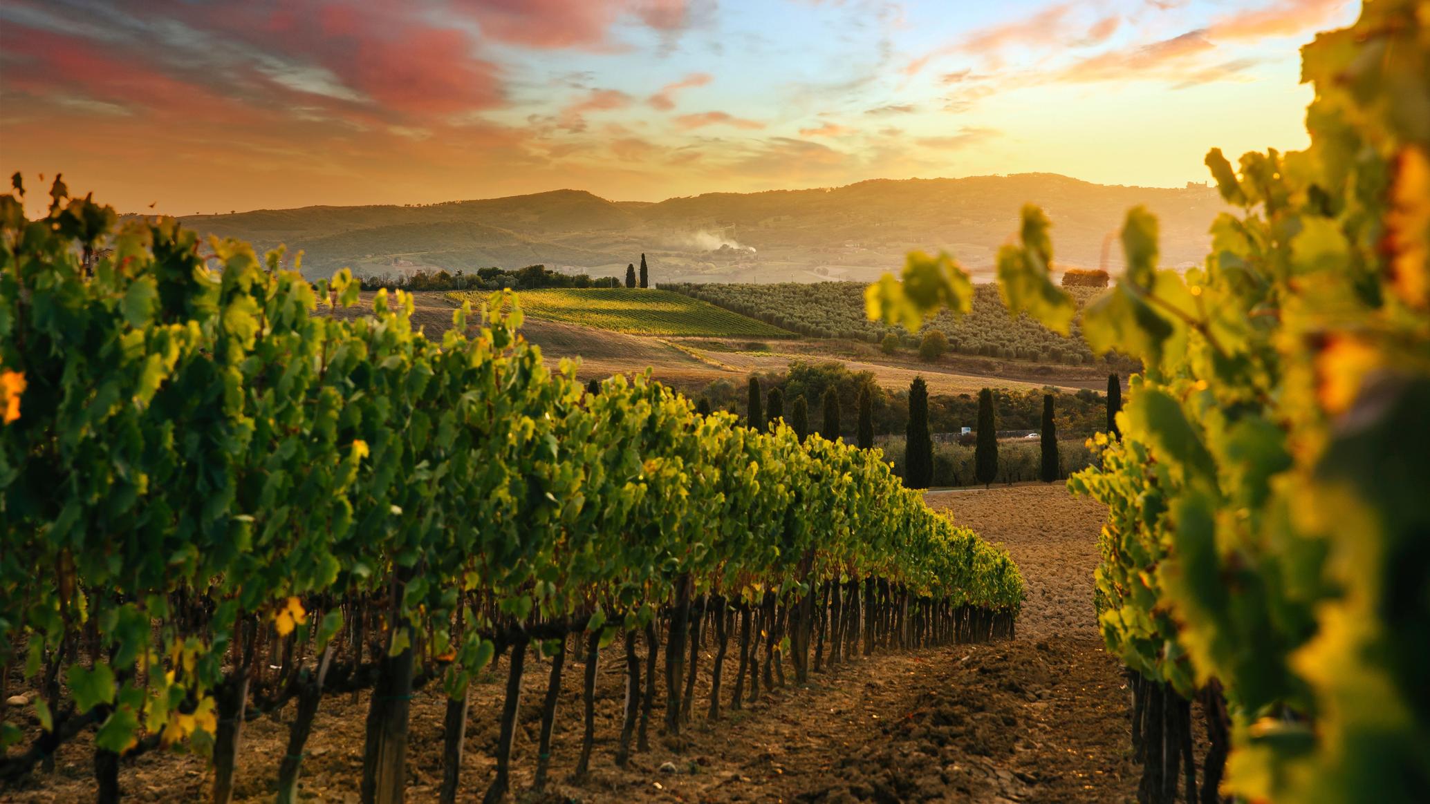 Healdsburg — Tourist Guide | Planet of Hotels
