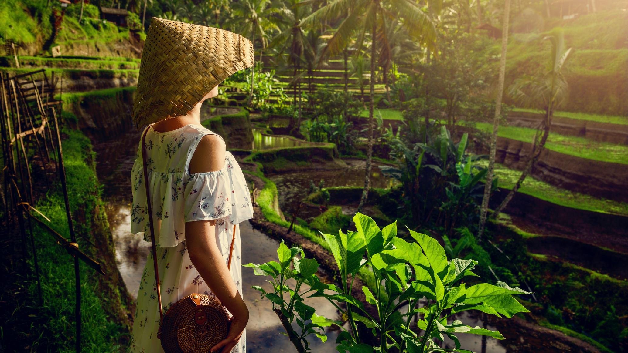 Breathtaking view on Manta Bay or Kelingking Beach at Nusa Penida Island,  Bali, Indonesia. Concept of travel to ever summer beach destinations. Best  Stock Photo - Alamy, image size:2068x1164