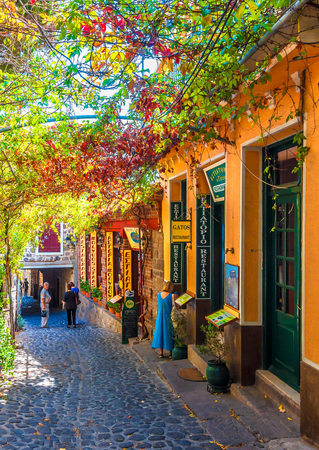 Most Beautiful Streets In The World