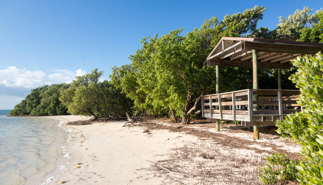 Best Clothing Optional and Nude Beaches in Florida Planet of Hotels