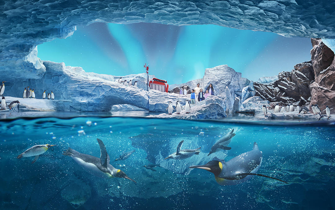 Seaworld Backround В Абу-Даби открылся новый тематический парк SeaWorld - Новости| Planet ...